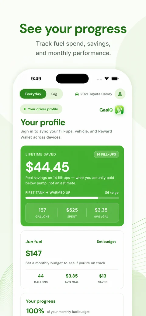 See your fuel-spend and savings progress over time